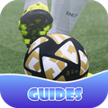 Guides PeS 2016
