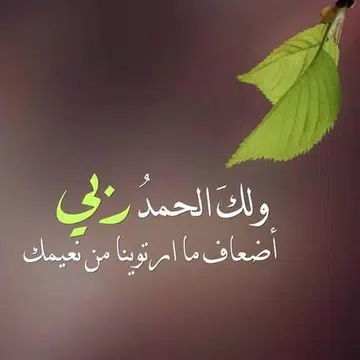 Screenshot 3 for كلمات دينية راقية تريح النفس