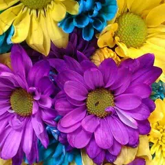 Revolution Wallpapers for LG