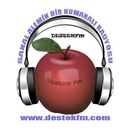 Destek FM APK
