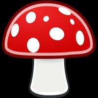 Mushroom 海报