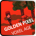 Golden Pixel Voxel Age