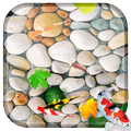 Fish 3D Live Wallpaper