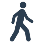 Walk icon