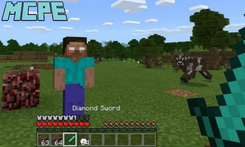 Android 用の Herobrine Addon For Minecraft Pe Apk をダウンロード