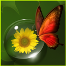 Dewdrop Butterfly APK