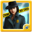 Hidden Objects Investigation Enigma