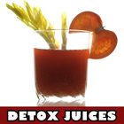 Detox Juice Recipes icono