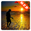 Detector Golds hidden APK