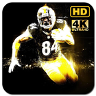 Antonio Brown Wallpaper biểu tượng