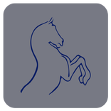 Centre Equestre Nord Isère