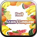 Learn Vocabulary Fruits APK