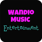 Wandio Music Entertainment icône