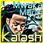 Kalash icône