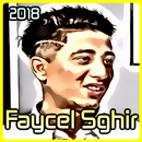 Cheb Faycel Sghir 2018 Mp3 APK