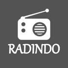 Radindo icon
