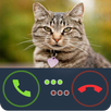Fake Call Cat APK