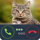 Fake Call Cat
