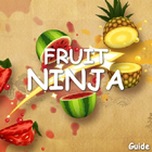 Icona Guide For Fruit Ninja