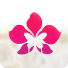 Orchid Spa icon