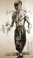 Amazing Bruce Lee Wallpapers (HD) ภาพหน้าจอ 2