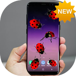 Ladybug in Phone New