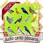 ikon Livre de pássaros