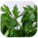فوائد الأعشاب APK