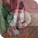 اغاني ندى القلعة mp3 APK