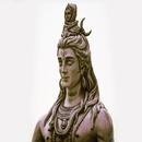 Shiv Chalisa APK