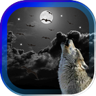 Wolves Night HD live wallpaper icône