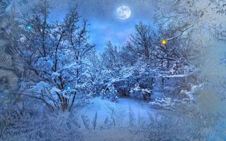 Magic Winter live wallpaper imagem de tela 2