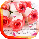 Music Rose live wallpaper APK