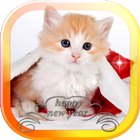 New Year Kittens HD LWP icône