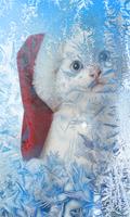 New Year Kittens HD LWP poster