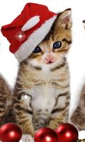 New Year Kittens HD LWP imagem de tela 1