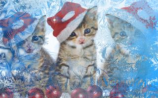 برنامه‌نما New Year Kittens HD LWP عکس از صفحه