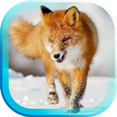 Snowfall Animals HD LWP APK