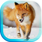 Snowfall Animals HD LWP icône