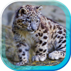 Snow Leopard Best HD LWP icône