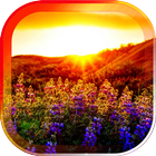 Sunset Spring live wallpaper biểu tượng