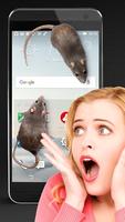 Mouse in Hand Scary Joke mouse on screen постер