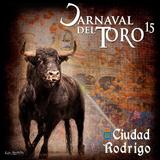 Carnaval del Toro 2015 图标