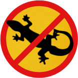 Anti Lizard Repellent