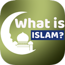 What is Islam : the real Islam aplikacja