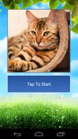 برنامه‌نما Cats Funny Puzzle عکس از صفحه