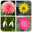 Flower Game APK