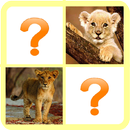 The Lion Memory Game APK