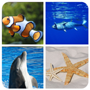 Fish Game APK