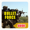 Guide For Bullet Force